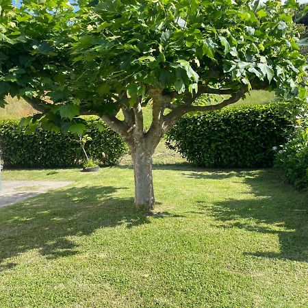 Moradia Rustica Jardim Villa Caloura Bagian luar foto