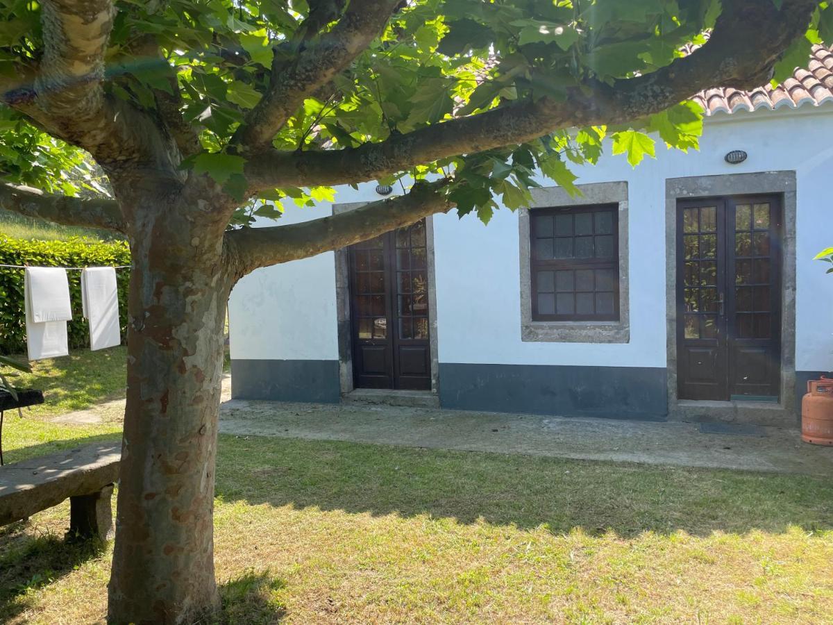 Moradia Rustica Jardim Villa Caloura Bagian luar foto